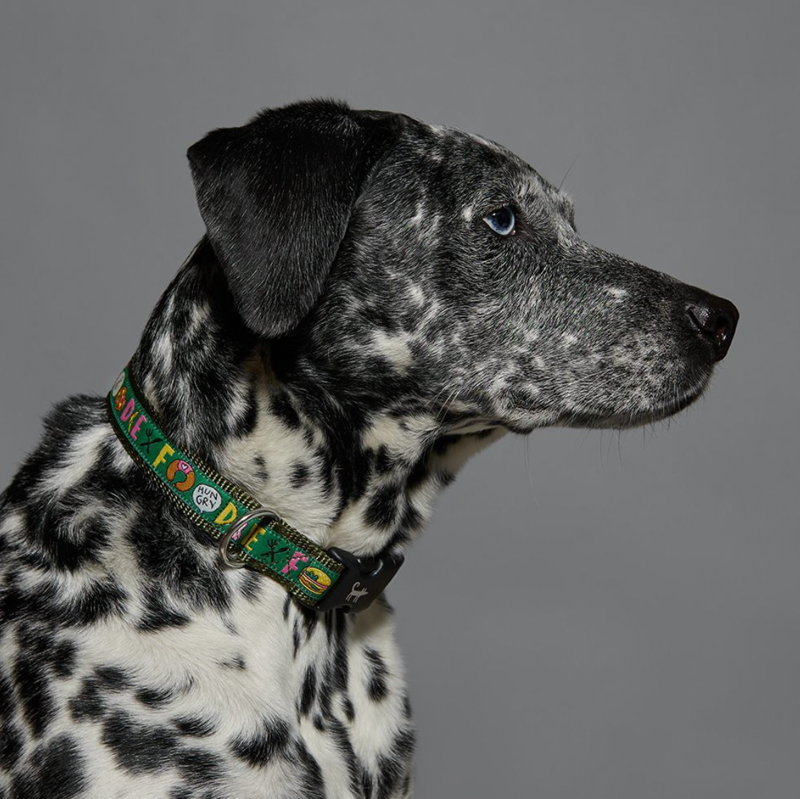 Canvas Army Green Gourmet Collar