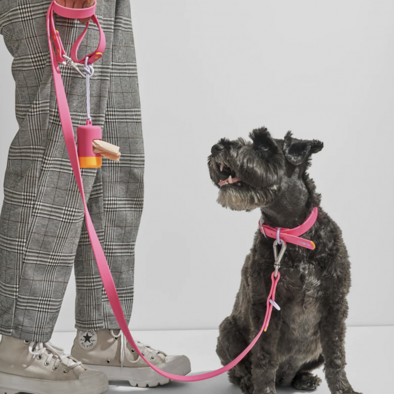 Pink Rubber Collar - Limited Edition
