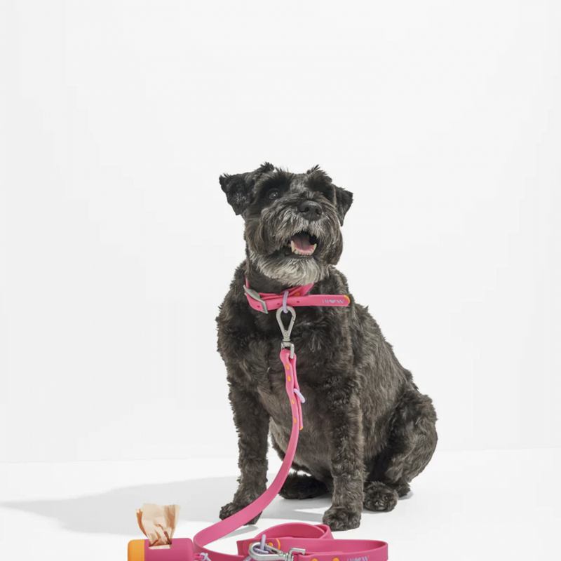 Pink Rubber Collar - Limited Edition