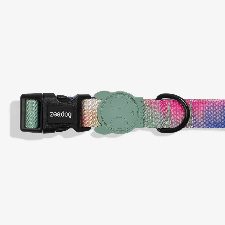 Dyed polyester dog collar