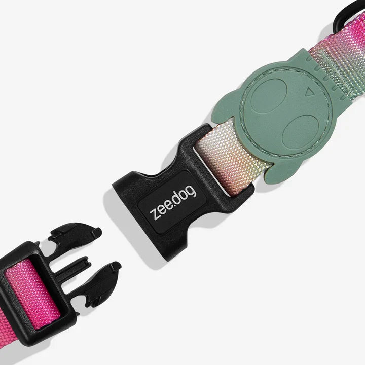 Dyed polyester dog collar