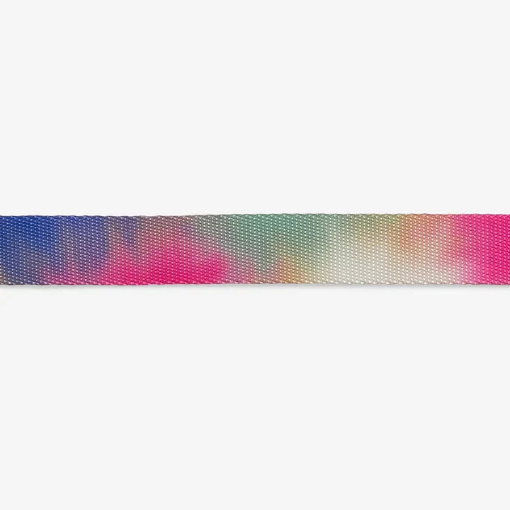 Dyed polyester dog collar