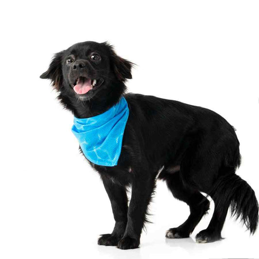 Cooling Bandana - Blue