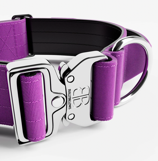 Purple Collar - with Handle