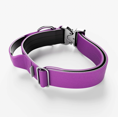 Purple Collar - with Handle