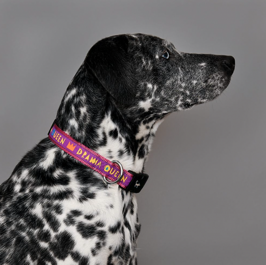 Drama Queen Collar