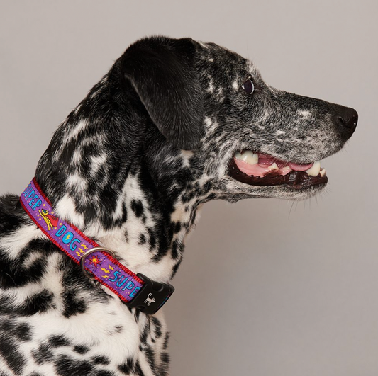 Super Dog Collar