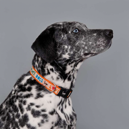Orange  Peace Dog Collar