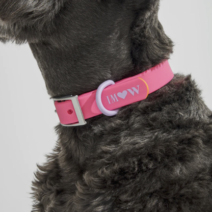 Pink Rubber Collar - Limited Edition