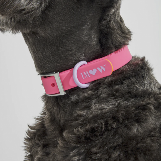 Pink Rubber Collar - Limited Edition