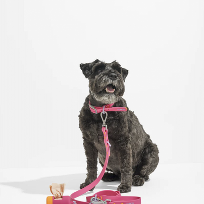 Pink Rubber Collar - Limited Edition