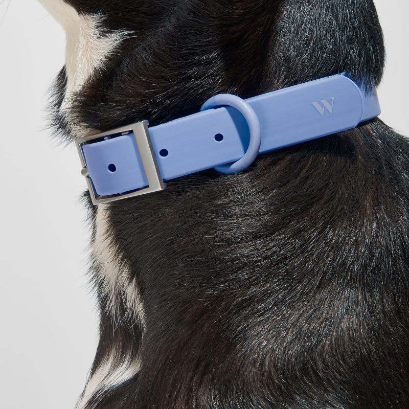 Collar Moonstone