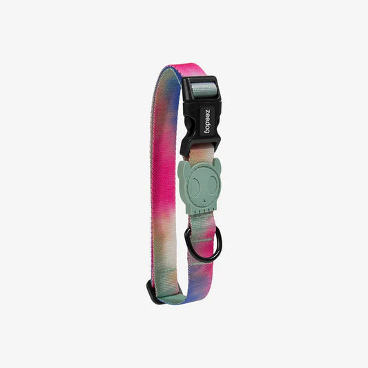 Dyed polyester dog collar